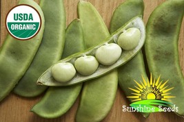 SML Thorogreen Baby Lima Bean Seeds 30 Organic Florida Grown Bulk Seeds - $12.69