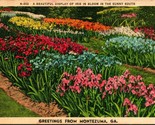 Generic Greetings Iris in Bloom Montezuma Georgia GA Linen Postcard S21 - $13.32