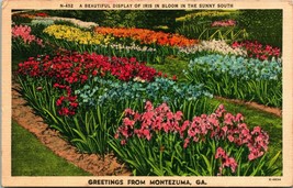Generic Greetings Iris in Bloom Montezuma Georgia GA Linen Postcard S21 - £10.47 GBP