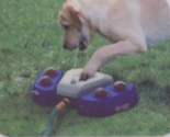 Multi-Functional Outdoor Dog Water Dispenser/Sprinkler--FREE SHIPPING! - £23.32 GBP