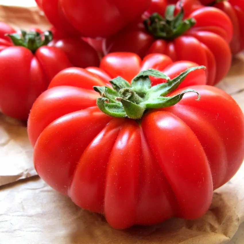 Costoluto Genovese Tomato, Italian Ribbed, NON-GMO 30 seeds - $3.99