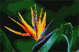 Pepita Needlepoint Canvas: Bird of Paradise, 12&quot; x 8&quot; - £68.49 GBP+
