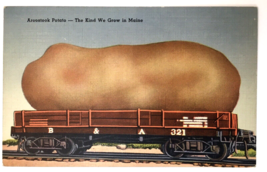 Aroostook Potato The Kind We Grow in Maine Exaggeration Train Car Vtg Linen PC - £5.58 GBP