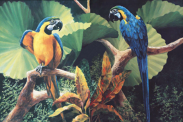 gossiping macaw parrot exotic tropical bird jungle ceramic tile mural backsplash - £47.47 GBP+