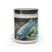 2D Light Blue Fish Scented Candle, 9oz - £23.97 GBP