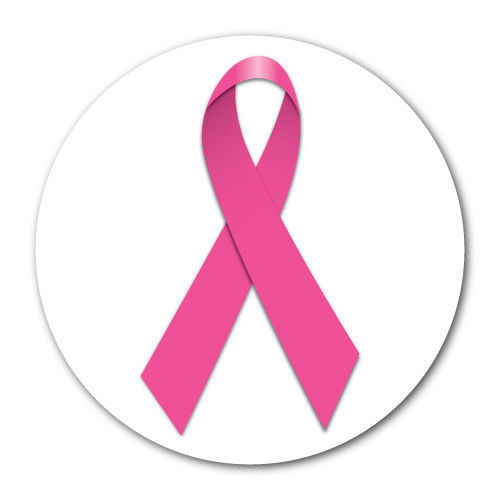 Pink Ribbon Breast Cancer Awareness 1 inch Circle Sticker, Roll of 25 La... - $8.84
