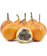 10 Sweet Granadilla Yellow Passionfruit Passiflora Ligularis Fruit Vine ... - £19.21 GBP