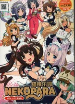 Nekopara 1-12End English Dubbed &amp; All region DVD Ship From USA Ship Out From USA - $15.49