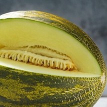 15 Seeds Piel De Sapo Melon Fruit Fresh Seeds - $7.38