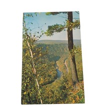 Postcard North View Pennsylvania&#39;s Grand Canyon Nature Trail Harrison St... - $4.84