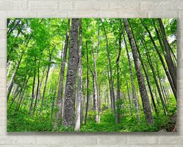 Smokey Mountain, Forest Tree Nature Art - Fine Art Photo on Metal, Canvas, Paper - £24.71 GBP+