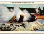 Grotto Geyser Yellowstone National Park Wyoming WY UNP Linen Postcard Z5 - $1.93