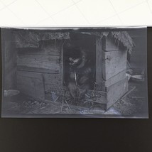 1930s Photo Negative Dog In Dog House Made From Scraps Of Wood - $161.65 MXN