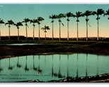Palm Lined Lake at Colleton Estate Barbados WI UNP DB Postcard P20 - $7.87