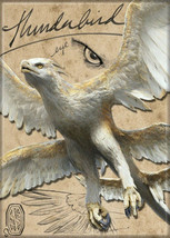 Fantastic Beasts Movie Thunderbird Name and Photo Fridge Magnet Harry Potter NEW - $3.99