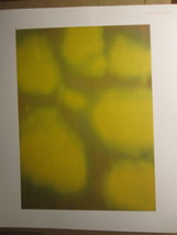 Modern Artist 11.5&quot; x 9.75&quot; Bookplate Print: Katherine Grosse- Untitled (Yellow) - £2.74 GBP