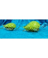 FIFTH AVENUE CRYSTAL:  &quot;TURTLE&quot; - 2 pc Mother &amp; Child Animal Figurines - $365.67 MXN