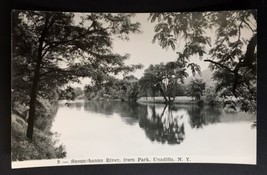 RPPC Susquehanna River from Park Unadilla New York B&amp;W Landscape Trees - £15.98 GBP