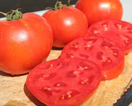 PWO 50 Seeds Burrell&#39;S Special Tomato Juicy Tomatoe Vegetable Garden Edible Food - £3.39 GBP