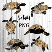Sea Turtle Stone Theme Collection/PNG Clip Art/Sublimation/Commercial Use/Digita - £3.18 GBP