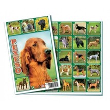 Memory Game Pexeso Dogs, Dog Breeds (Find the pair!), European Product - £4.95 GBP