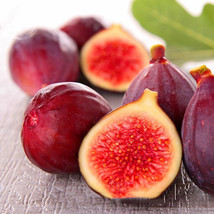 New Fresh Rose Red Fig Ficus Carica Tree Fruits Seeds 5 Seeds Pack Red Skin Rose - £4.01 GBP