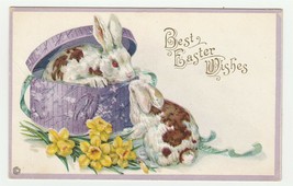 Vintage Postcard Easter Bunny Rabbits with Purple Hat Box 1917 Embossed Stecher - £7.75 GBP