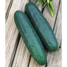New Fresh 25 Seeds Cobra Cucumbers Planting Easy To Grow Garden - $7.00