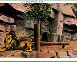 Lion&#39;s Den Detroit Zoological Park Detroit Michigan MI UNP WB Postcard F14  - $4.90