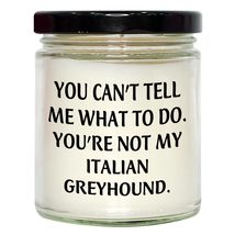 Italian Greyhound Dog Lover&#39;s Funny Vanilla Soy Candle Gifts for Christmas - Uni - $24.45