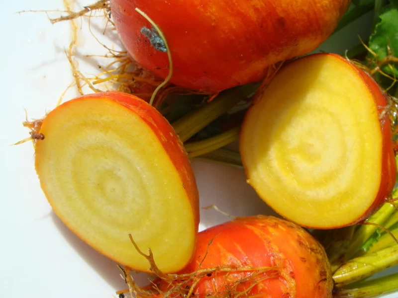 Burpee’s Golden Beet – 30 Seeds sweet yellow roots, gourmet - $209.13 MXN