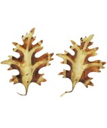 MCM Brutalist Brass Oak Leaf Wall Hangings Set of 2 Autumn Leaves Sconce... - $20.50 CAD
