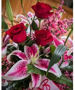 PSA Lily Flower Bulbs 5 Large Pink Stargazer Oriental Lily'S Quality Fast Growin - $48.50