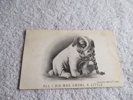 All i did was growl a Little 1906 Dog pet Humor Postcard Posted - £27.23 GBP
