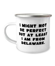 Sarcastic Delaware, I Might Not Be Perfect but at Least I am From Delaware, Inap - £15.59 GBP