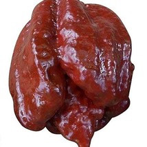 Chocolate Moruga Variant Trinidad Scorpion Pepper Fresh Garden USA Shipping - £9.65 GBP