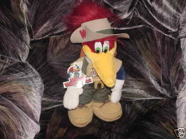 14&quot; Woody Woodpecker Plush In Hiking Outfit With Tags 1999 - $34.64