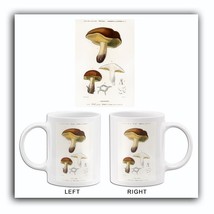 Mushroom (Boletus Circinans) - 1849 - Illustration Mug - £19.47 GBP+