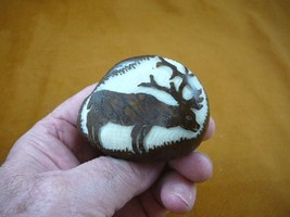 (TNE-MOO-451-A) white brown Moose Elk deer silhouette TAGUA NUT figurine carving - £17.01 GBP
