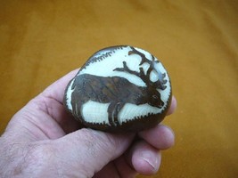 (TNE-MOO-451-A) white brown Moose Elk deer silhouette TAGUA NUT figurine... - £17.31 GBP