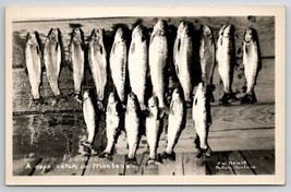 Fish A Days Catch In Montana RPPC J W Meiers of Polson Real Photo Postcard K24 - £10.18 GBP