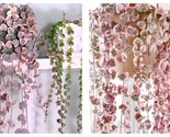50 Seeds pink Variegated String of Hearts Starter Plants plant Garden - $34.93