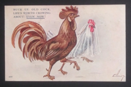 Buck Up Rooster and Hen in Veil Wedding Humor Funny Comic Alpha Postcard... - $19.99