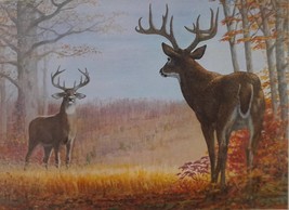 Virginia Whitetail by Edward J. Bierly 1982 Deer Unlimited Print of the Year wit - £119.62 GBP