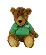 Cedar Fair 2007 Kings Island Amusement Park Bear Plush Toy Logo Green Sh... - $19.44 CAD