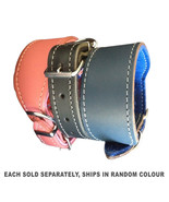 Pet Whippet Collar 40cm - $41.71