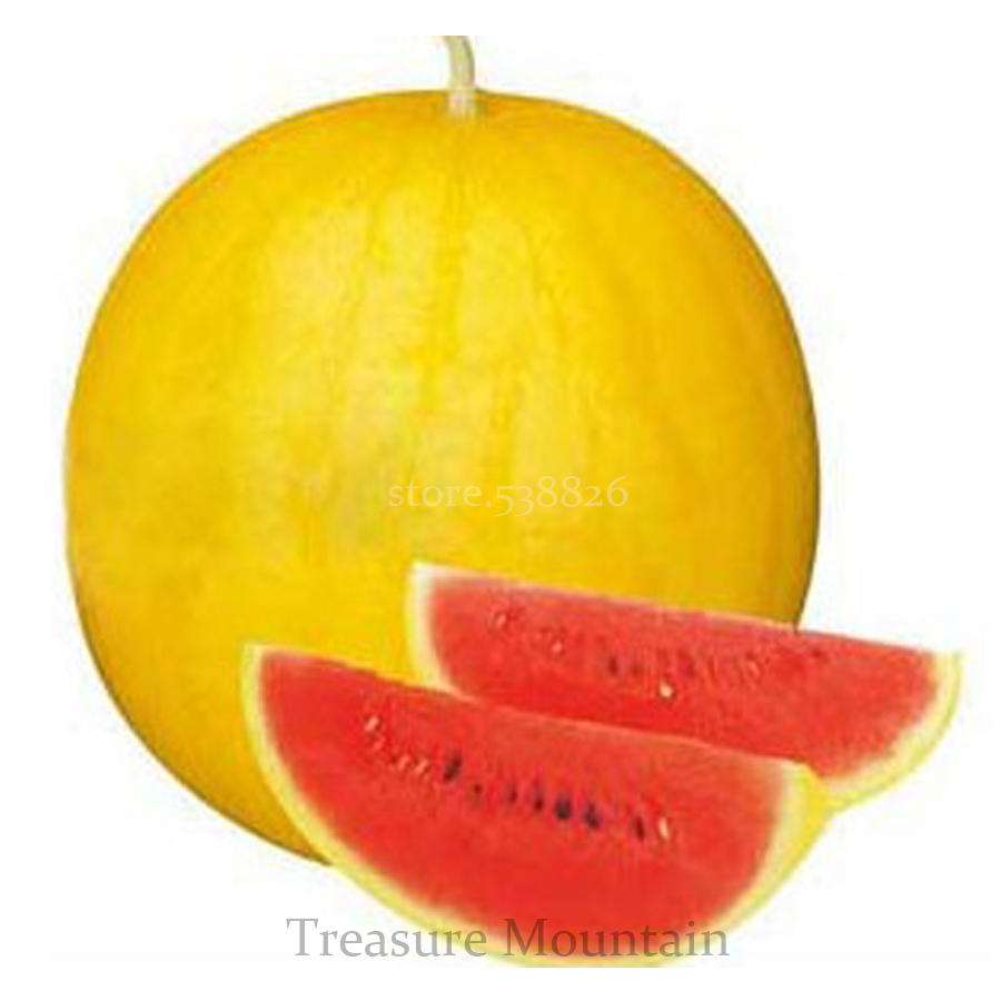 Chinese Gift Watermelon Yellow Peel Red Watermelon Seeds 10 Seeds Simple... - $14.90