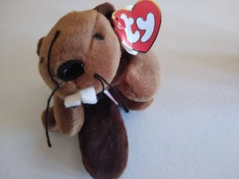 Ty Beanie Babies Bucky the Beaver with 3rd Generation Heart and Tush tags - £43.12 GBP