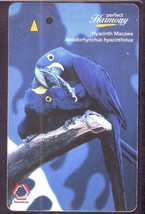 Anodorhynchus Hyacinthinus Hyacinth Macaws S&#39;pore TransitLink Train/Card... - £11.66 GBP