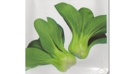 Cold-resistant Bok Choy, 1 BAG (10 GRAMS) Seeds D - £12.94 GBP